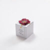 Elegant and Simple white party favor box with dark red flower accent